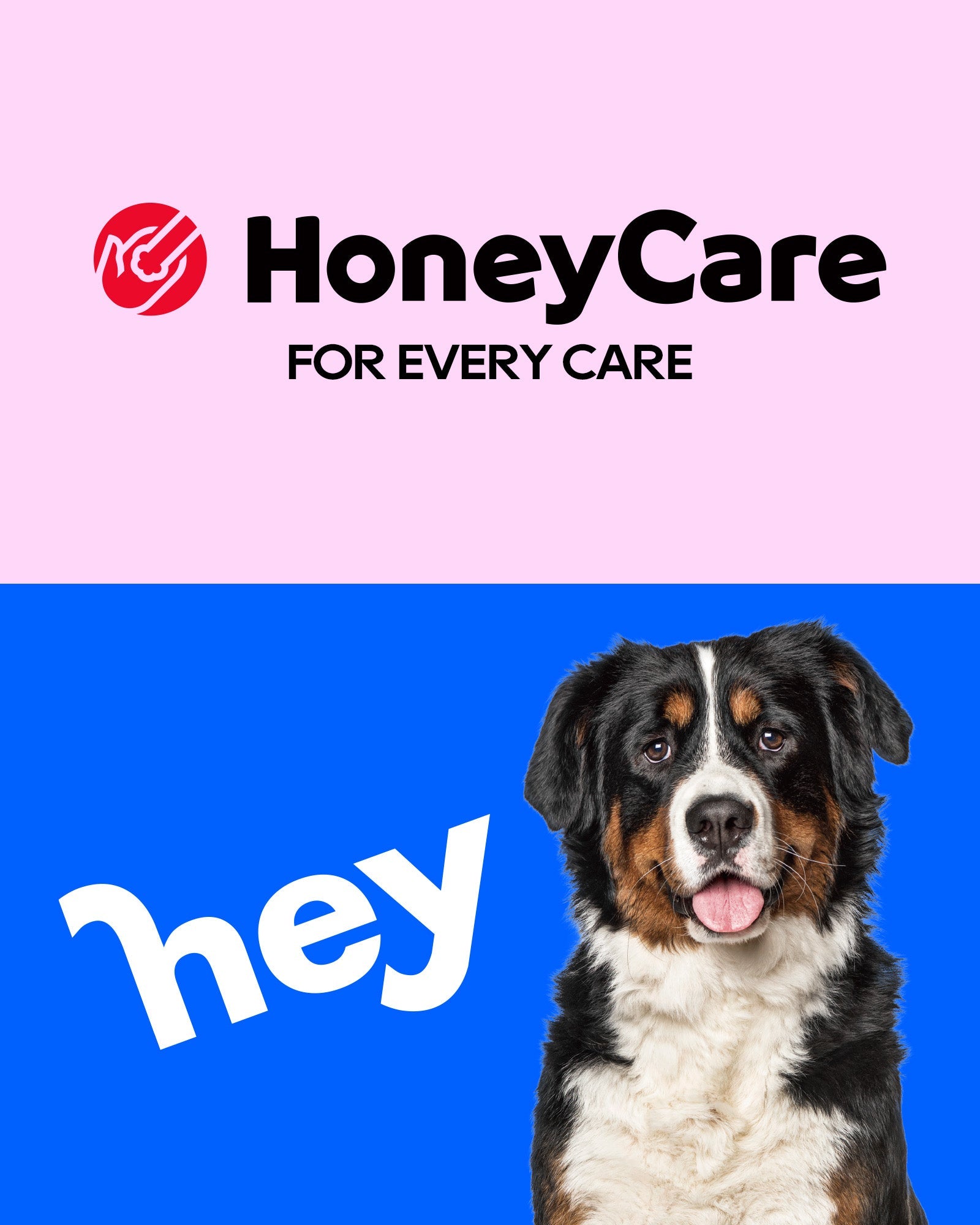 HoneyCare, A Premium Pet Care Brand, Exhibiting at the 2025 Global Pet Expo: Where Innovation Prowess Meets The Global Stage
