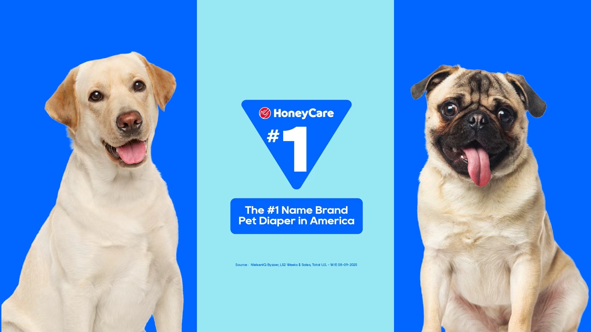 HoneyCare®|For Every Care
– Honeycare