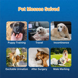 Honeycare® Disposable Male Diapers for Senior Dogs