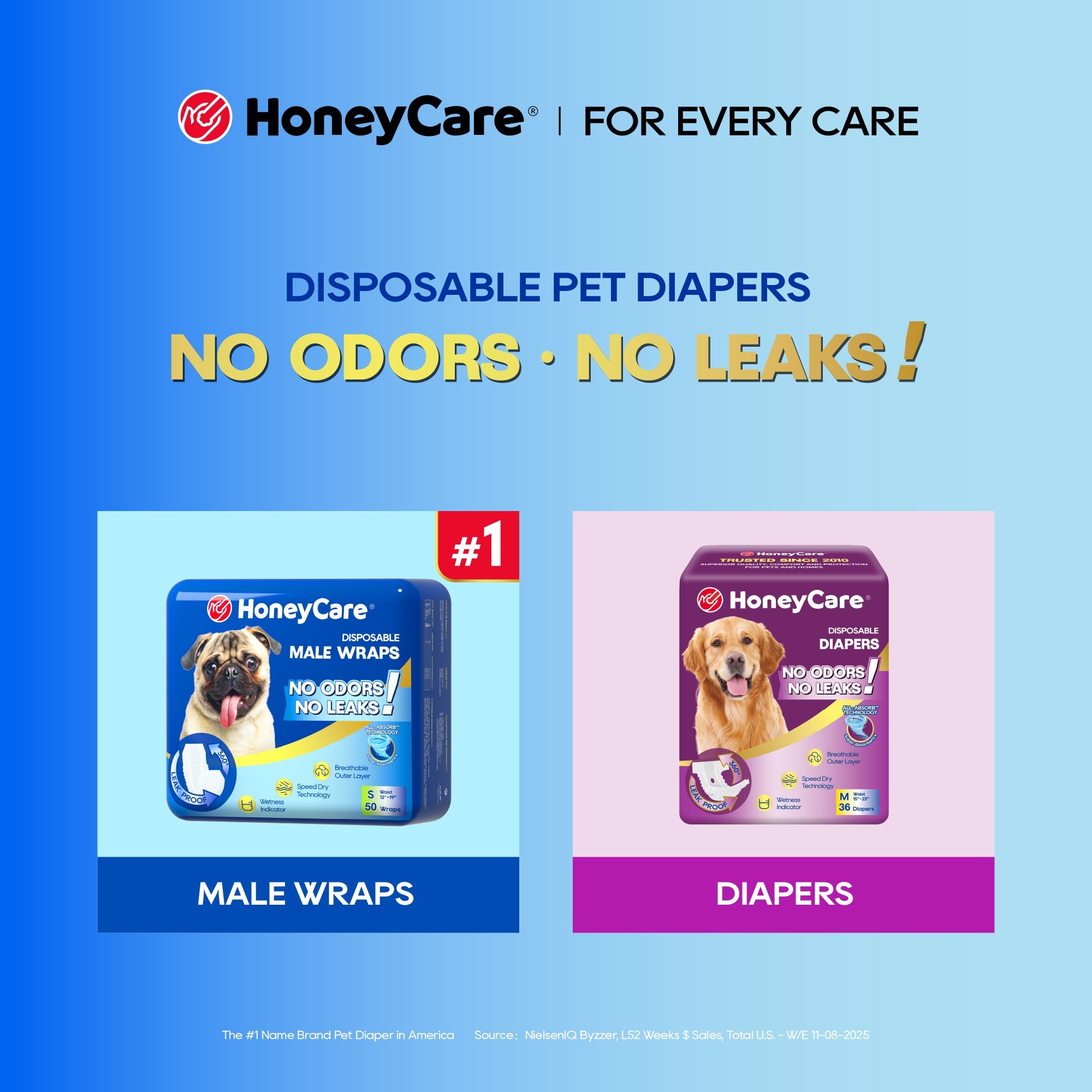 Pee Pad Tray vs Holder: Smart Setup Guide