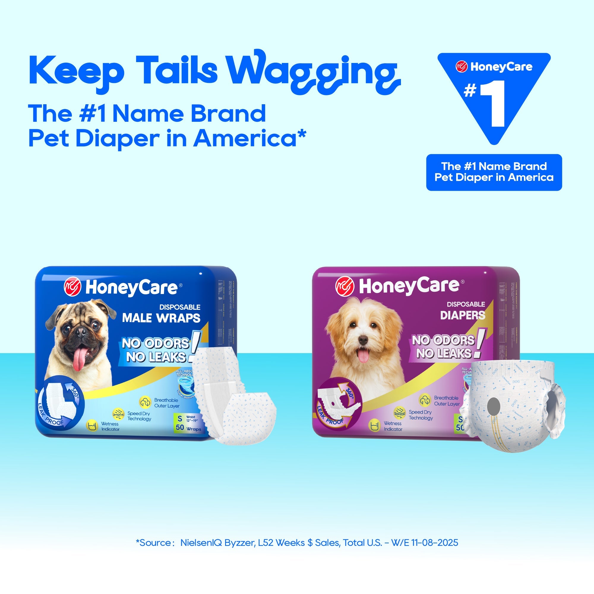 Pee Pads for Blind Dogs: Safe Home Setup Guide