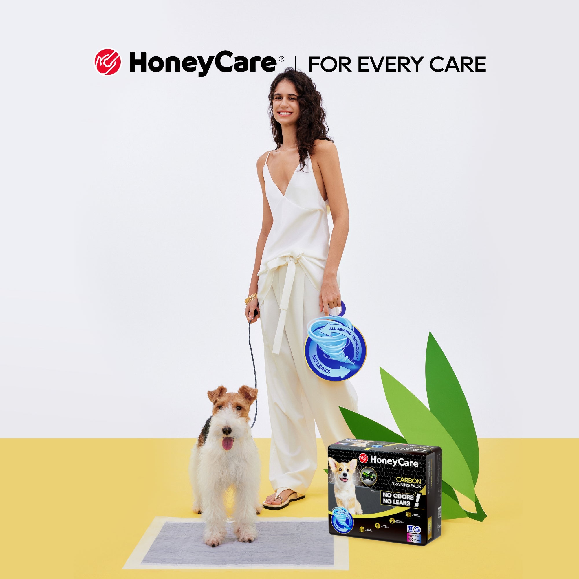Top Entry Litter Box: Honest Pros and Cons