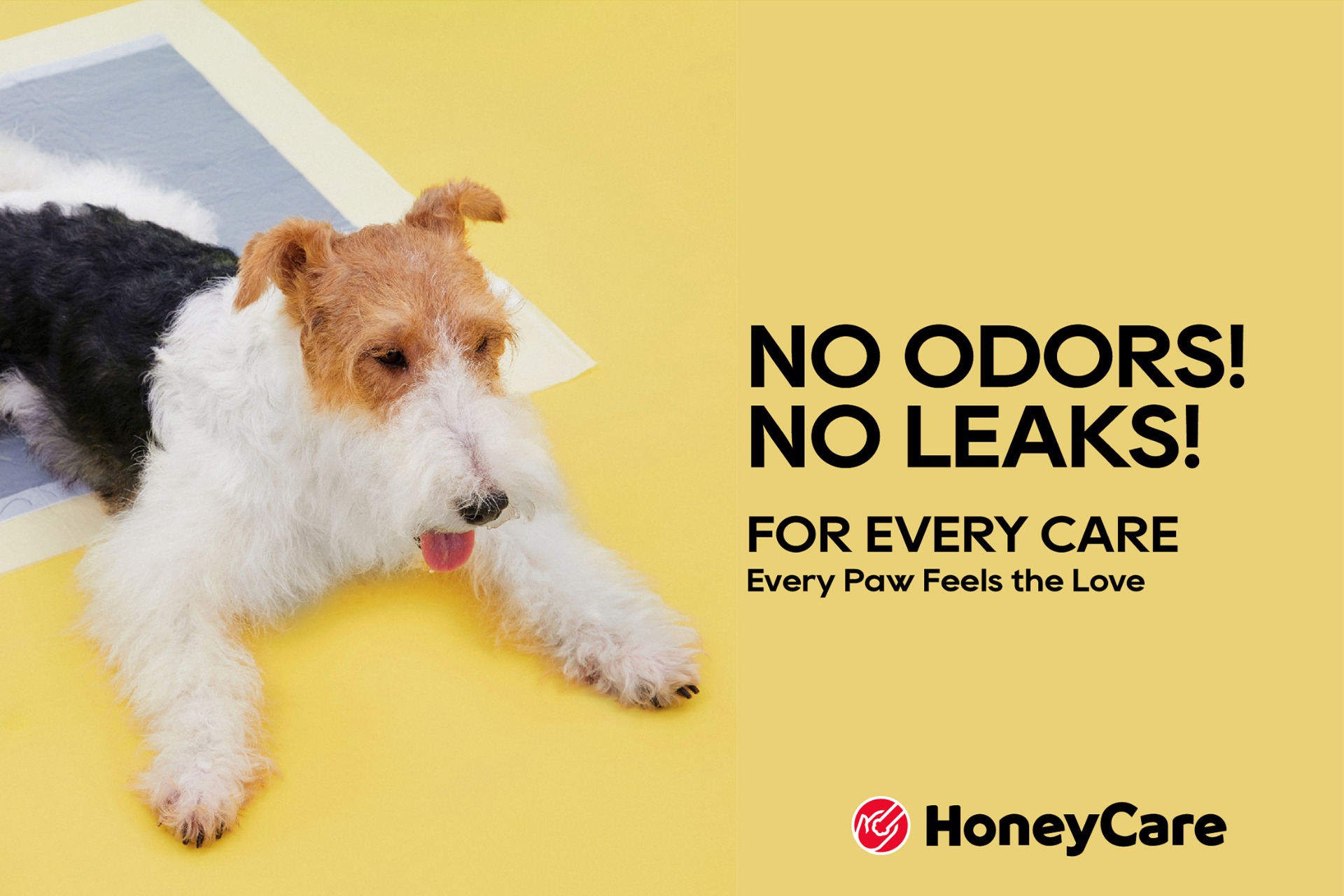 Maximizing Small Spaces: Urban Pet Parenting with Dog Potty Grass