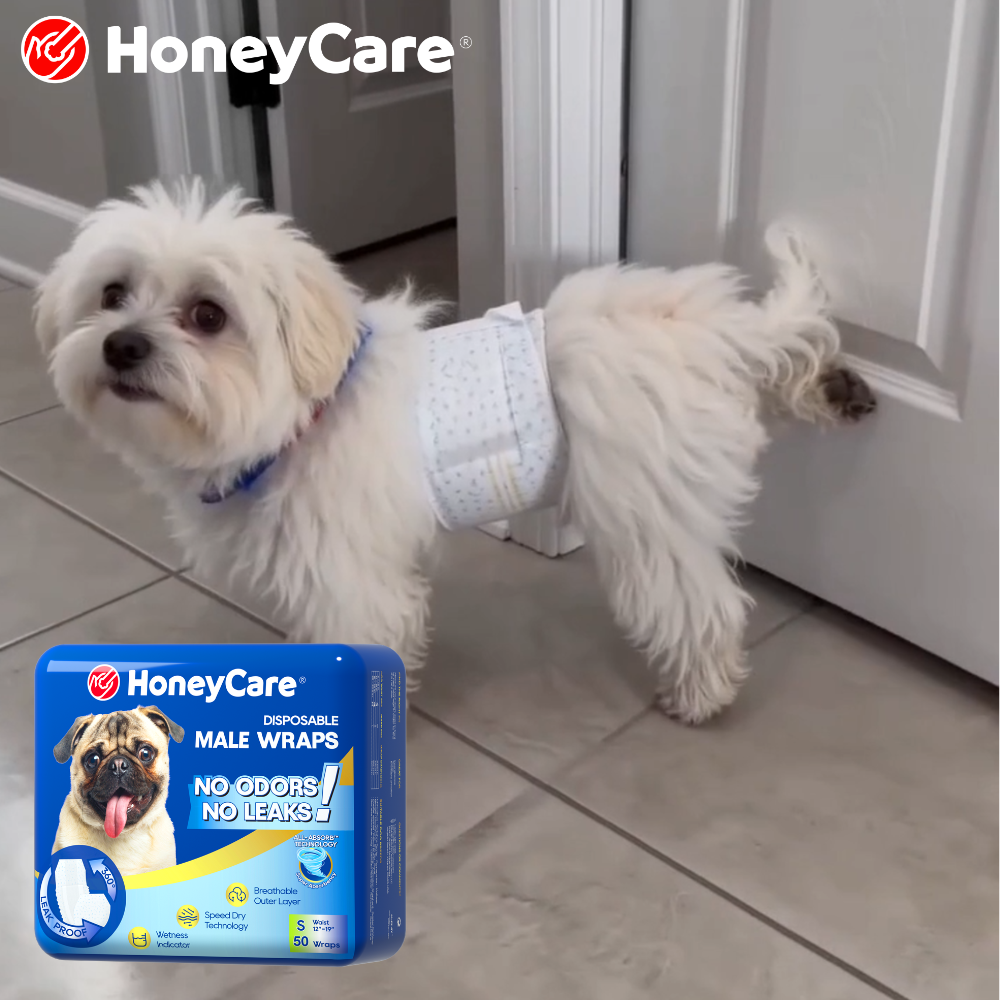 Dog Belly Band vs Full Diaper: 7 Key Differences