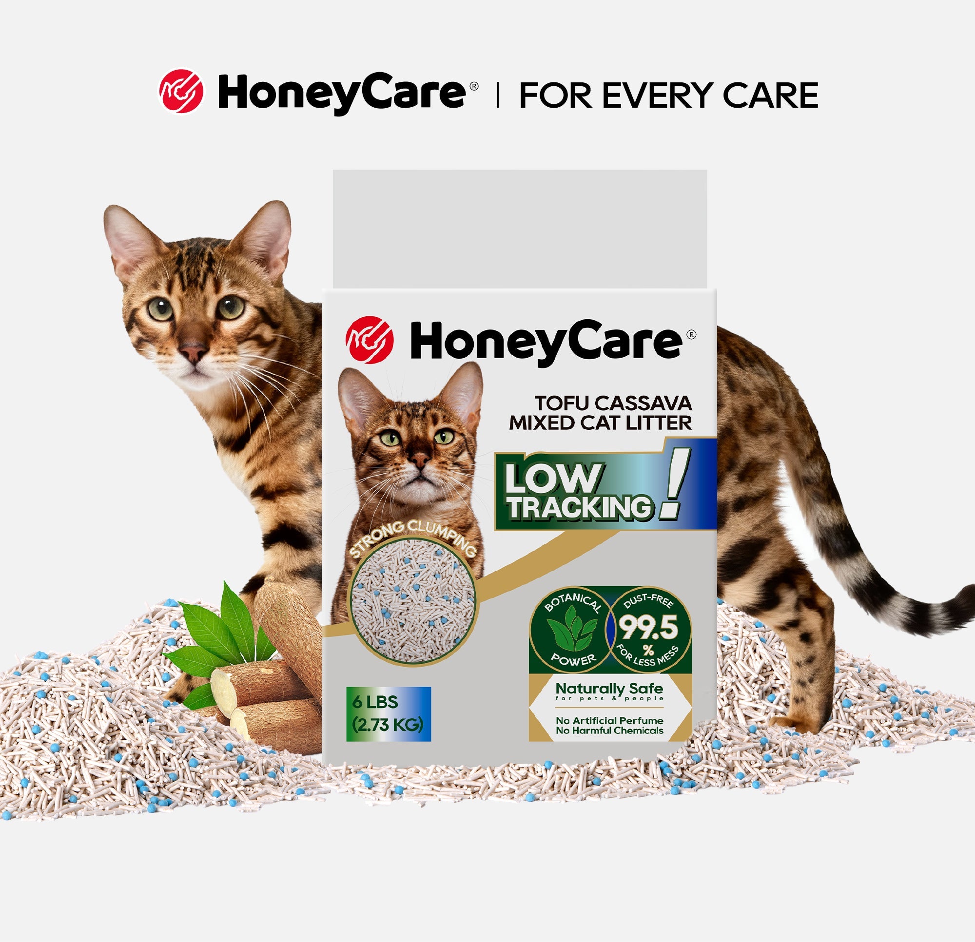 Multi Cat Boarding Litter Box Protocols
