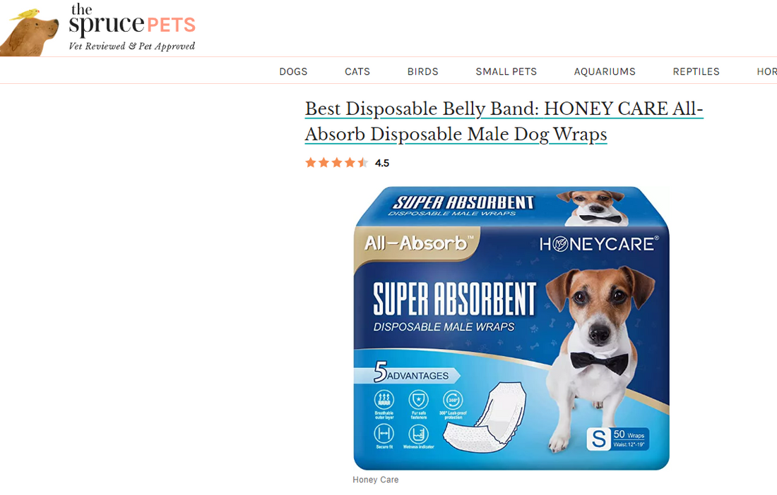 Thank for SPRUCEPETS Recommendation