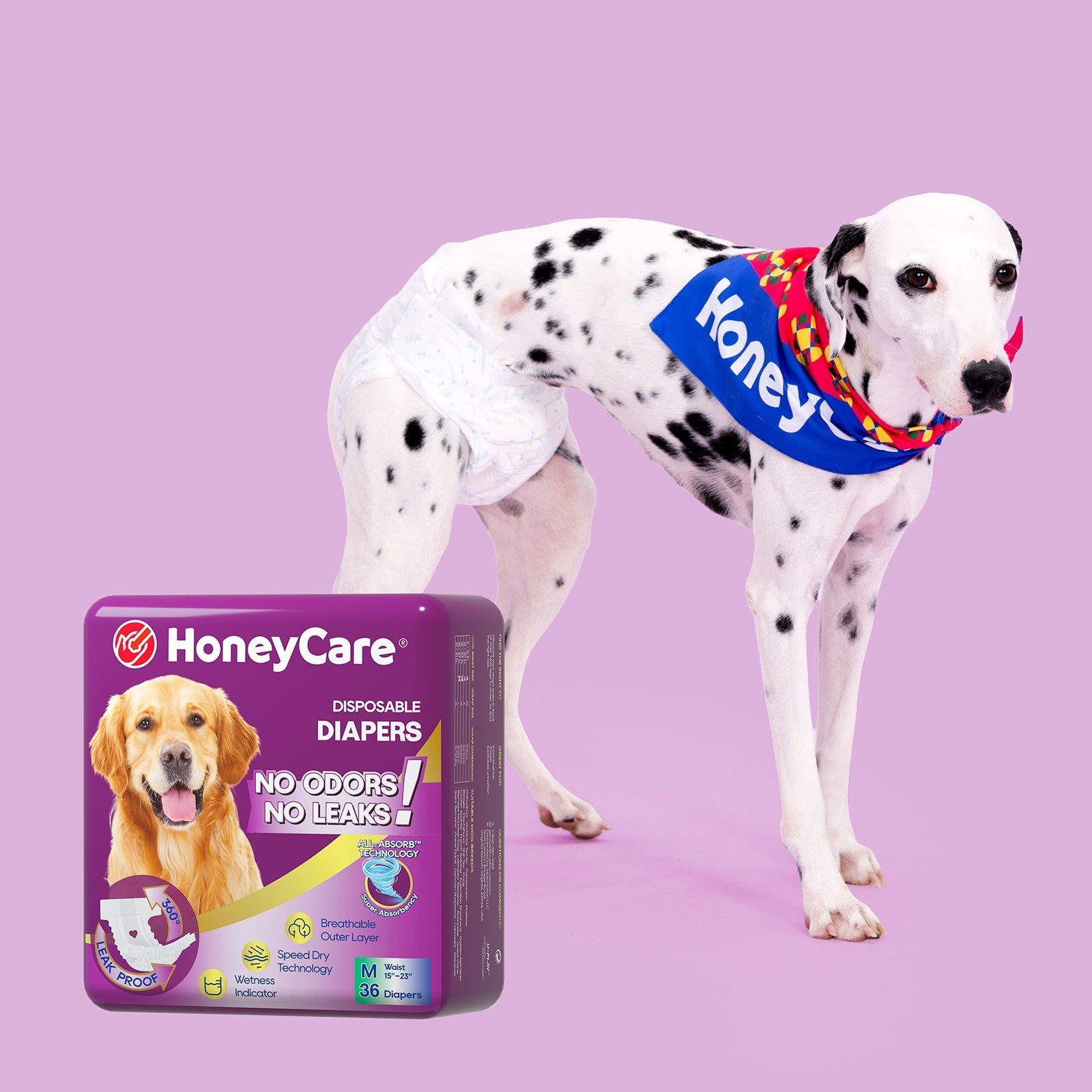 Pee Pads for Tile Floors: Protect Vinyl and Laminate
