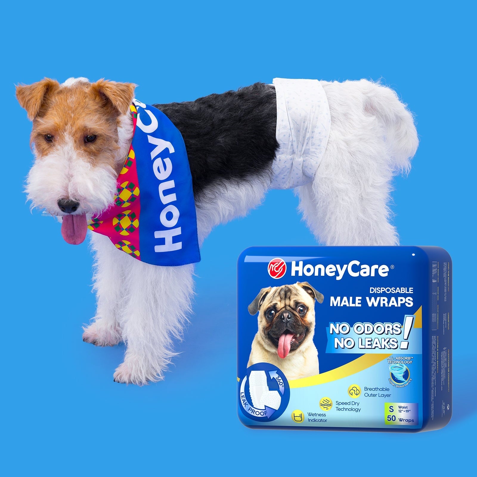 Puppy Pad Training Regression: Calm Fixes That Work