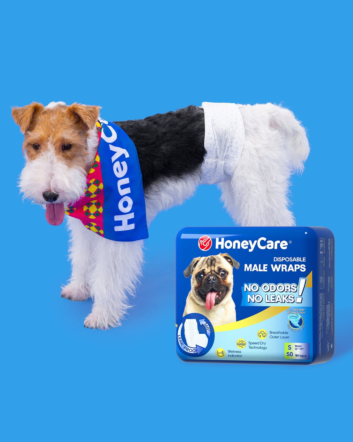 Puppy Pad Training Regression: Calm Fixes That Work