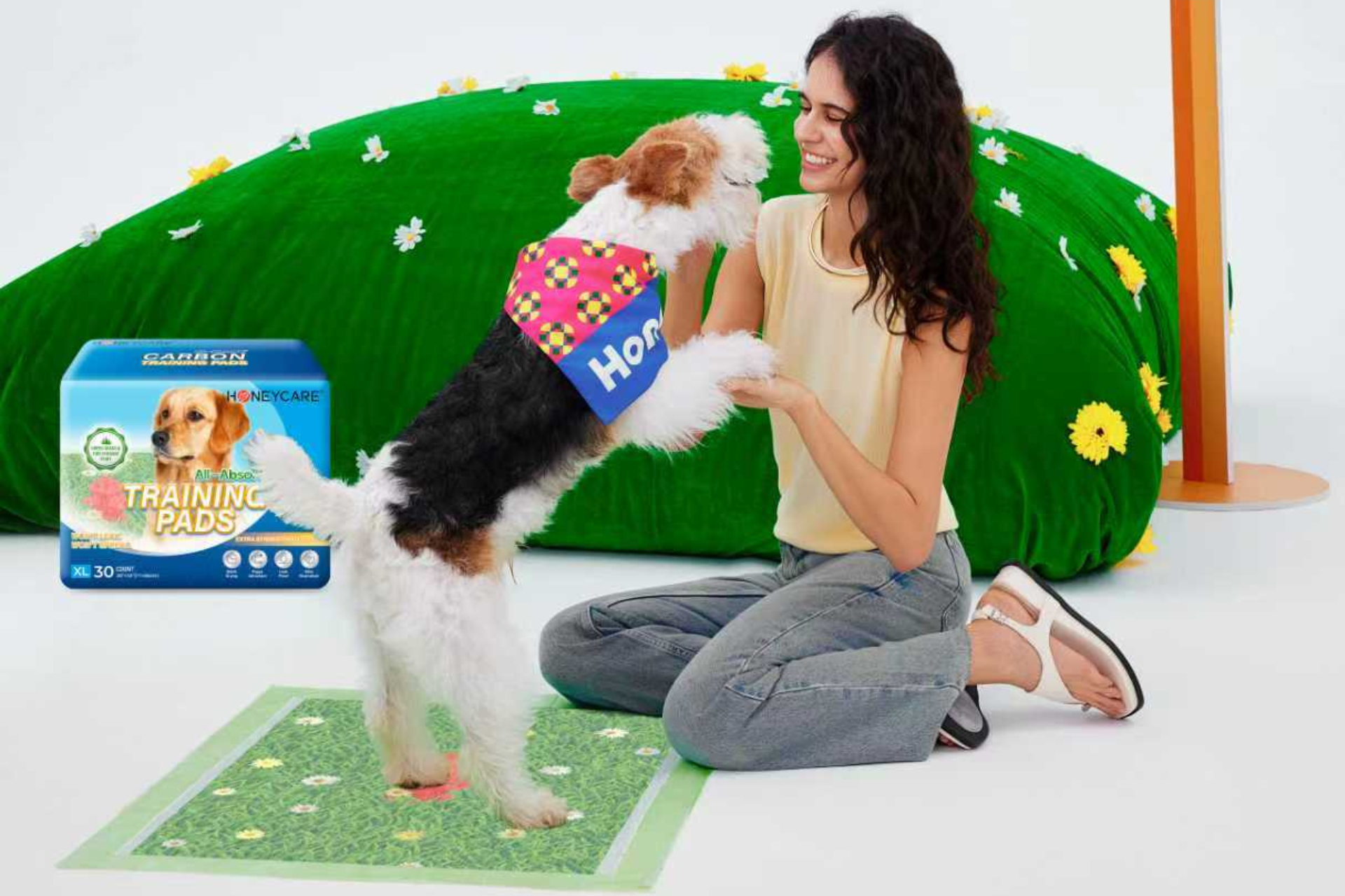 10 Common Puppy Pad Training Mistakes and How to Fix Them