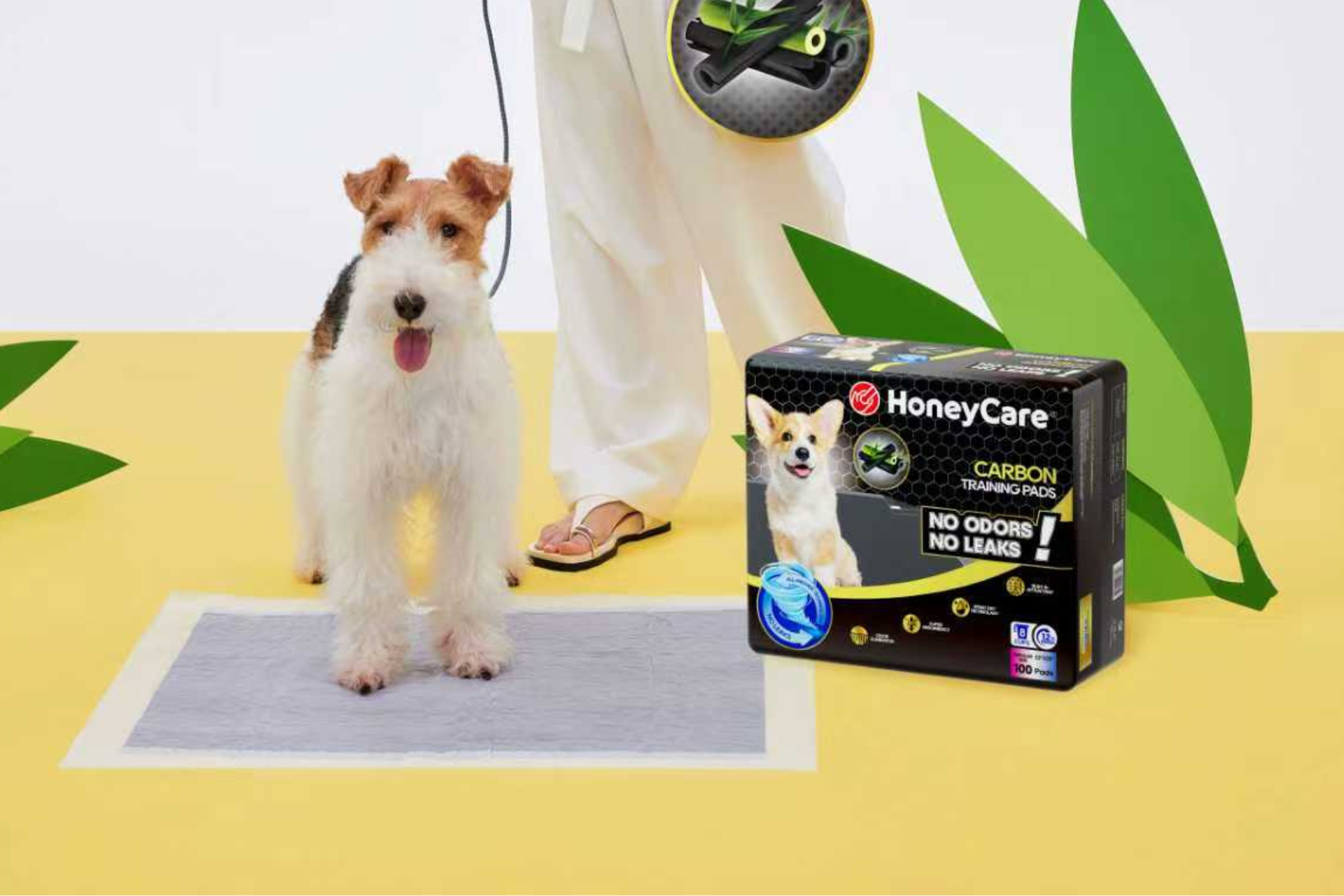 🐾 Puppy Pads vs Outdoor Training – Which Works Best?