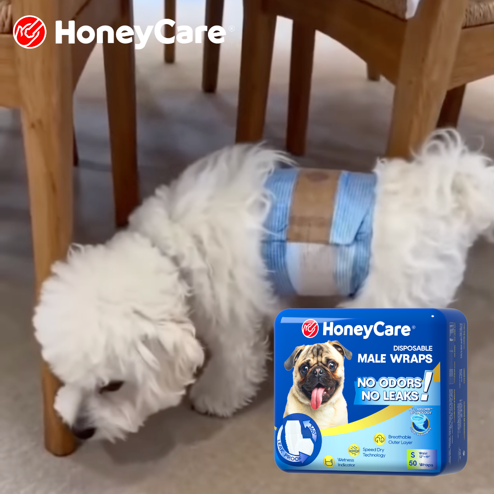 How to Stop Dog from Marking in the House: 9 Proven Steps That Actually Work