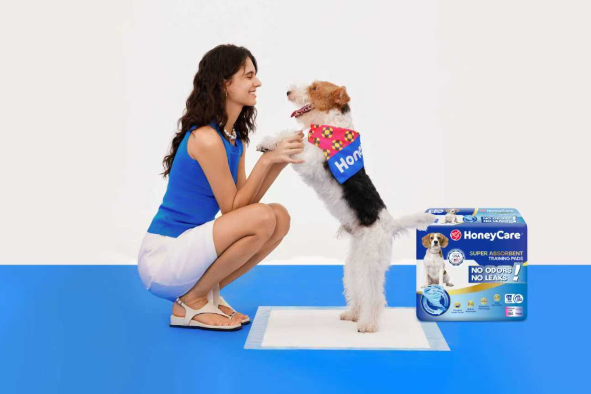 🐾 The Ultimate Puppy Pad Training Guide: From Zero to Success