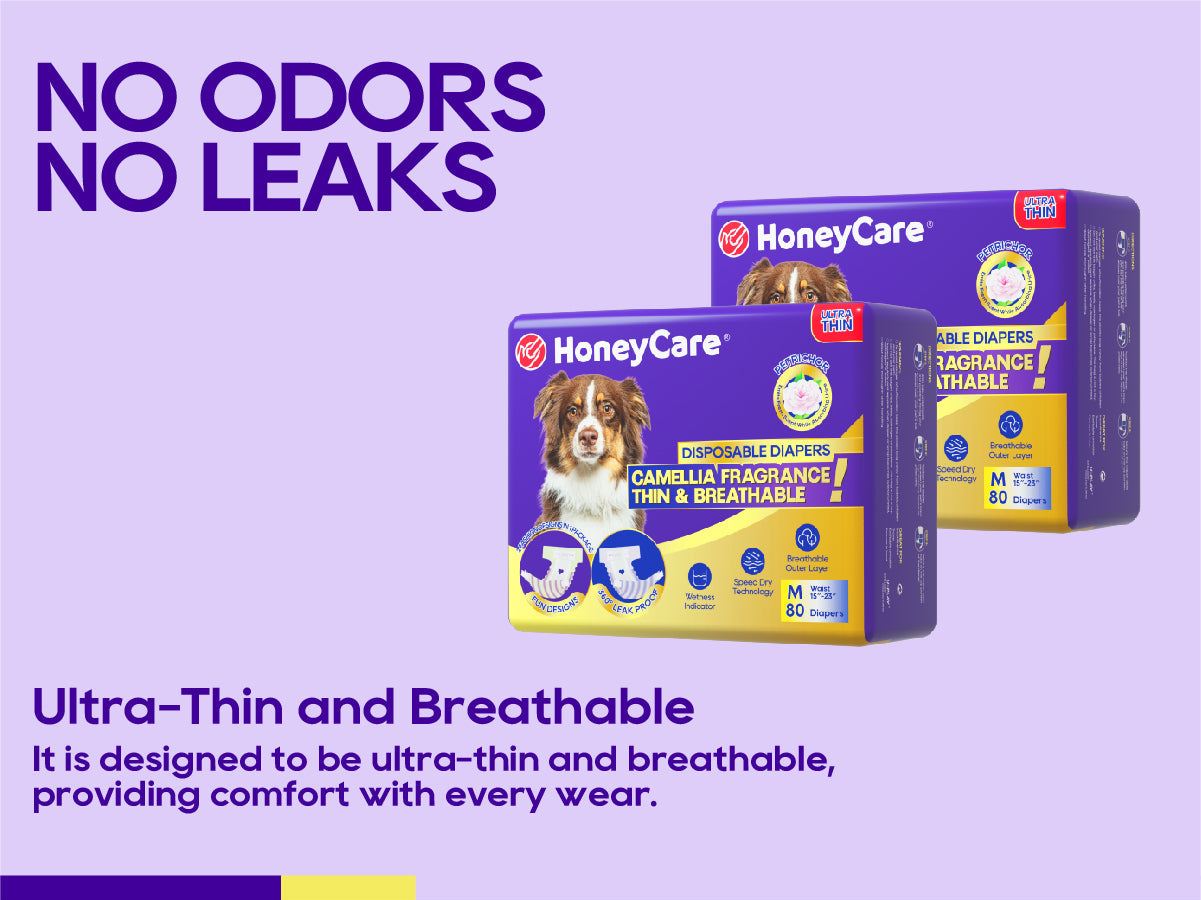Female Dogs in Heat: Hygiene & Comfort Tips Every Owner Should Know