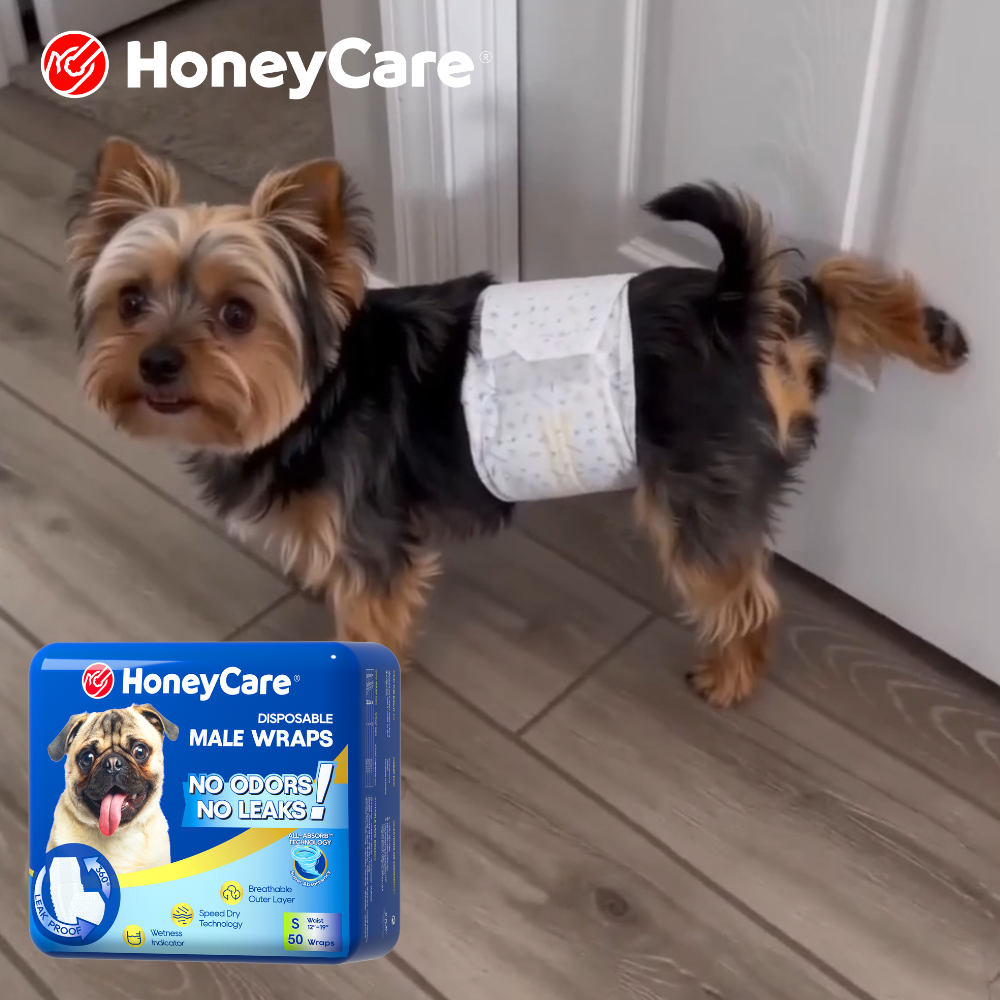 Dog Diapers: How Long Should Your Dog Wear One Daily?