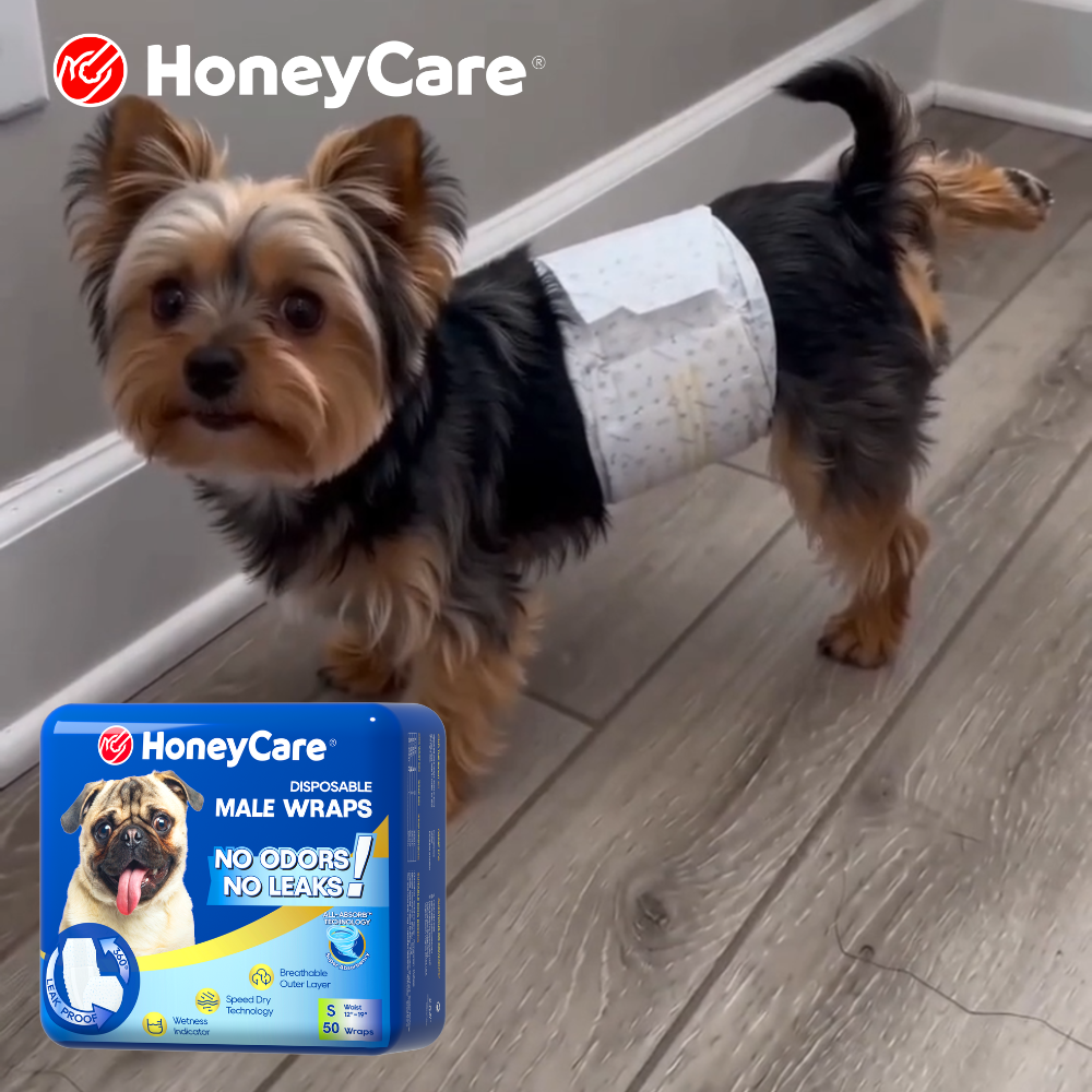 Dog Marking After a New Baby: 7 Urgent Solutions