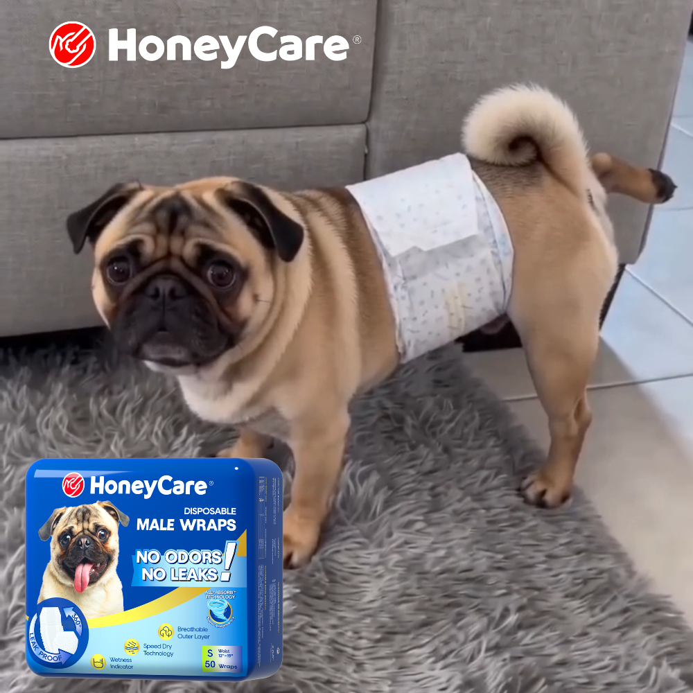 Multiple Dogs Marking? 6 Proven Fixes That Work