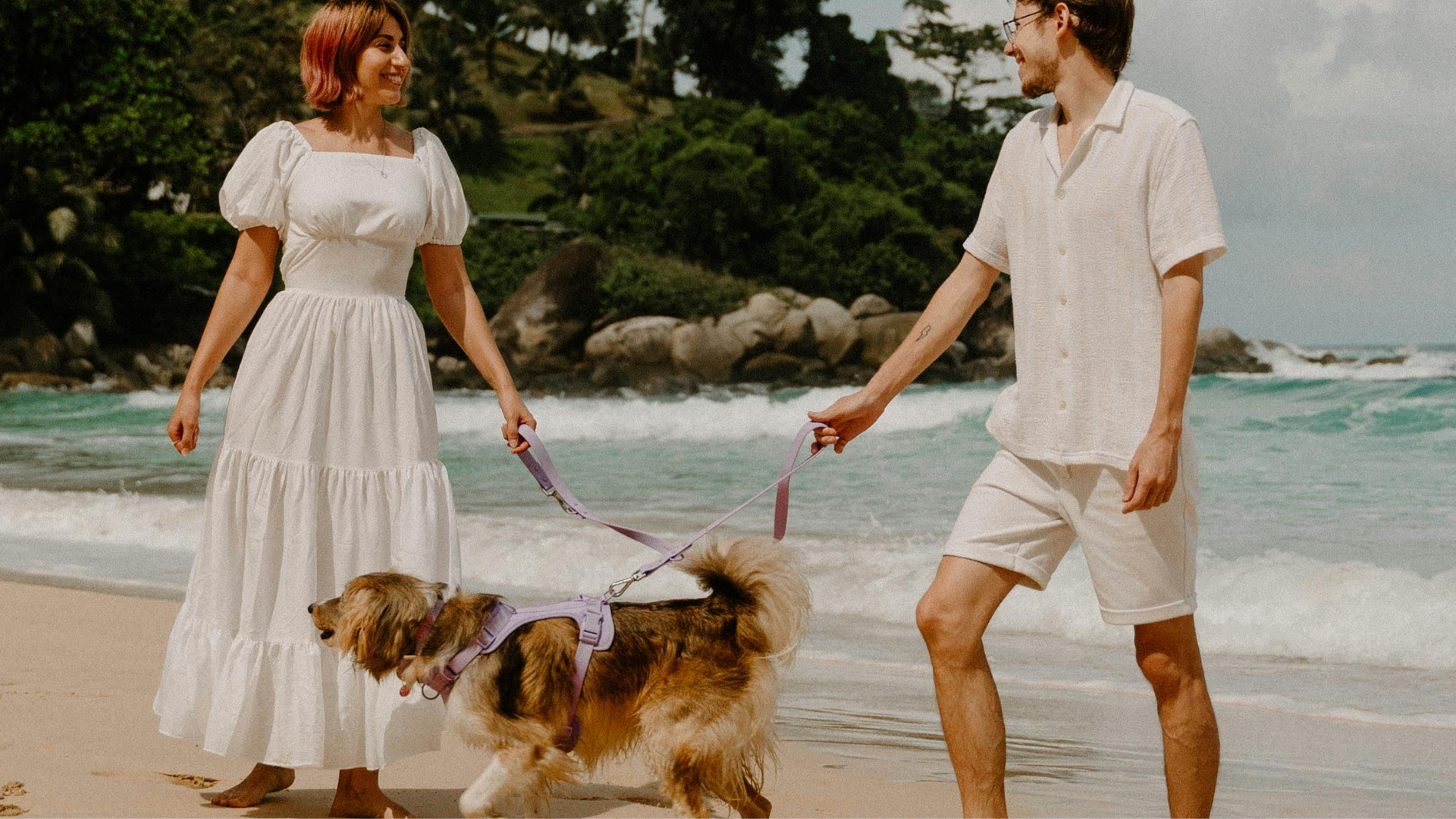 Senior, Post-Surgery & Disabled Dog Pee Pad + Diaper Strategies: What Actually Works in Real Homes