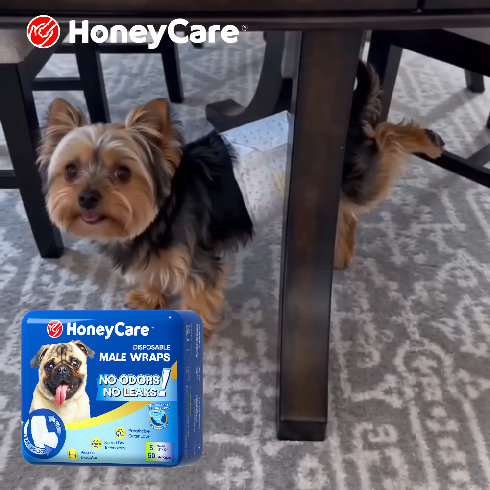 Dog Marking on Walks: 6 Smart Ways to Finally Stop It