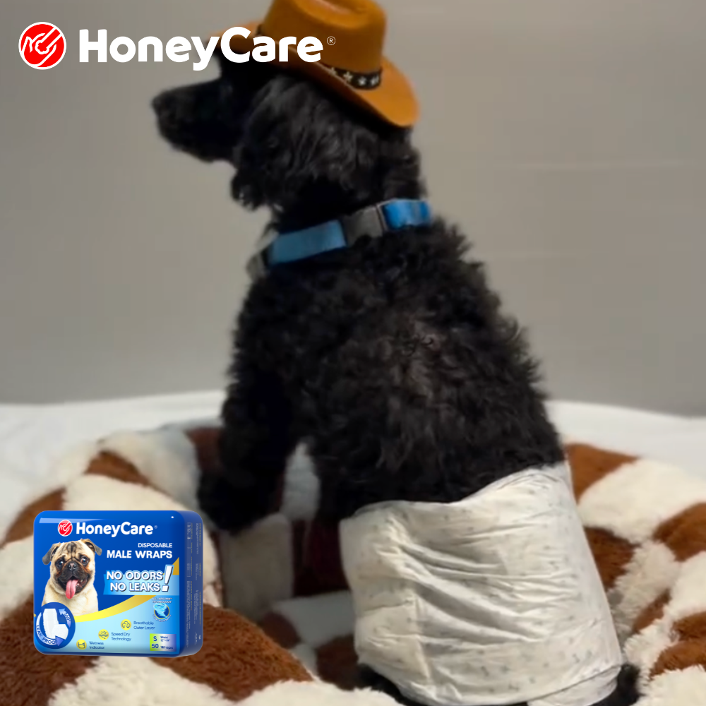 Why Do Male Dogs Mark Indoors? 7 Honest Reasons