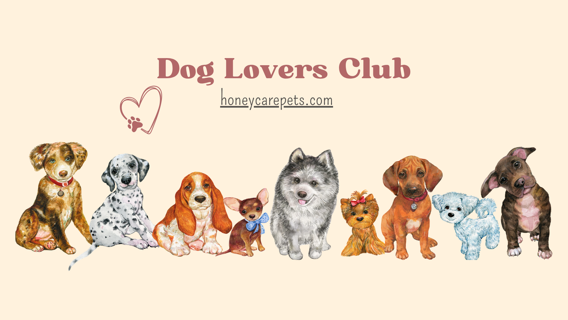 Tails Up = Angry? Decoding Your Dog’s Secret Body Language (+ Pee Accident Fixes!)
