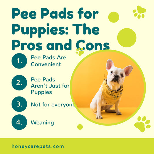 Potty Pad Pros and Cons