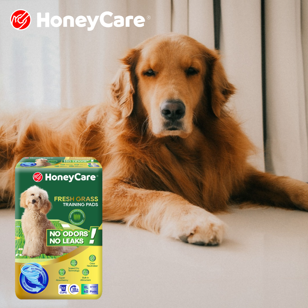 Foster Dog Hygiene Kit: What Every Foster Home Needs