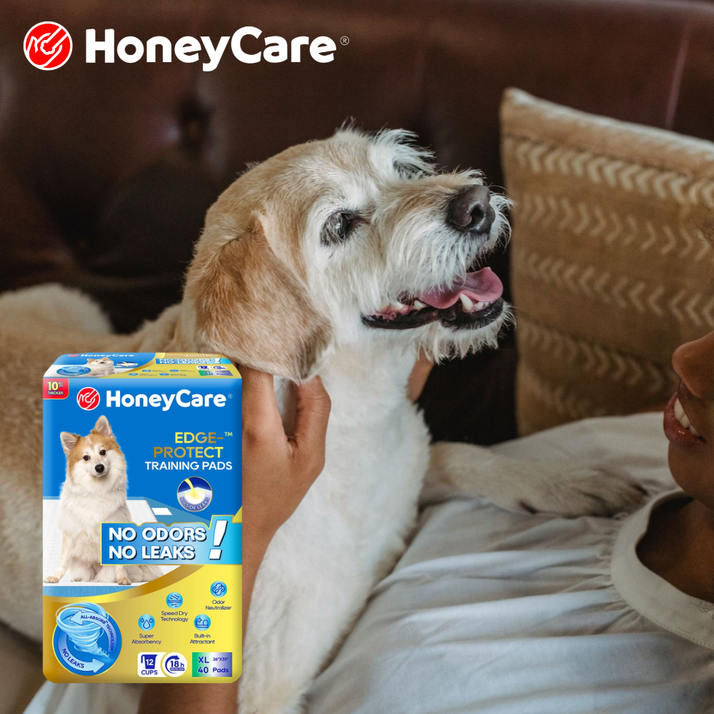 Belly Band Liners and Inserts: When You Need Extra Absorbency