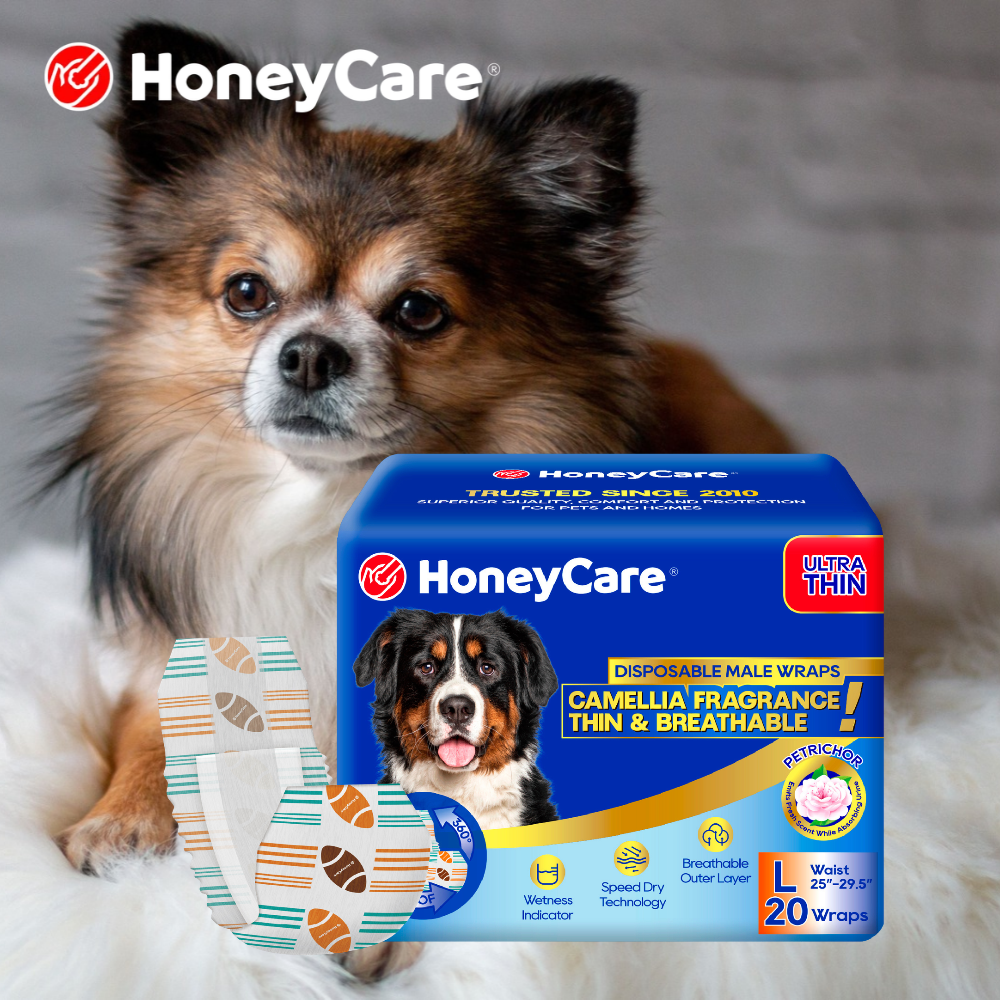 Puppy Bladder Control by Age: A Realistic Hour-by-Hour Chart