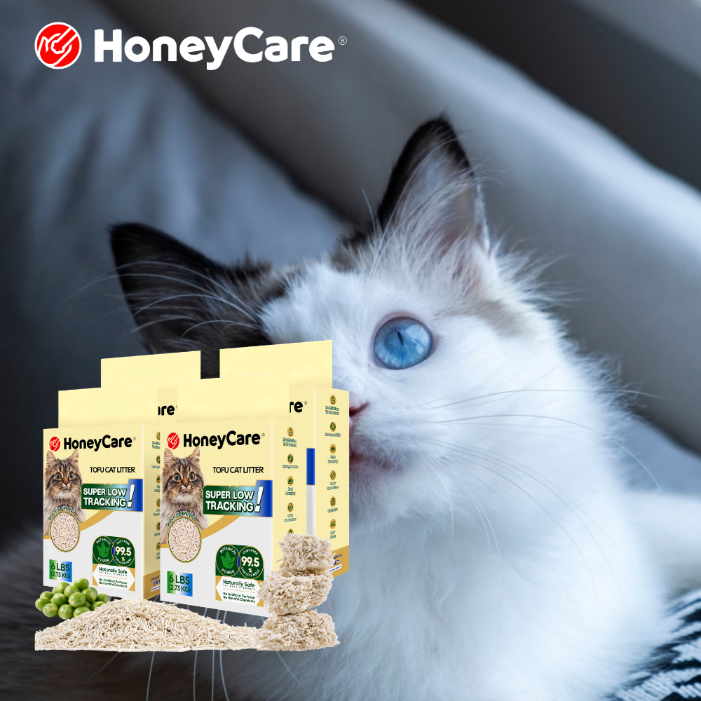 Litter Box Care for a Cat Recovering From Surgery