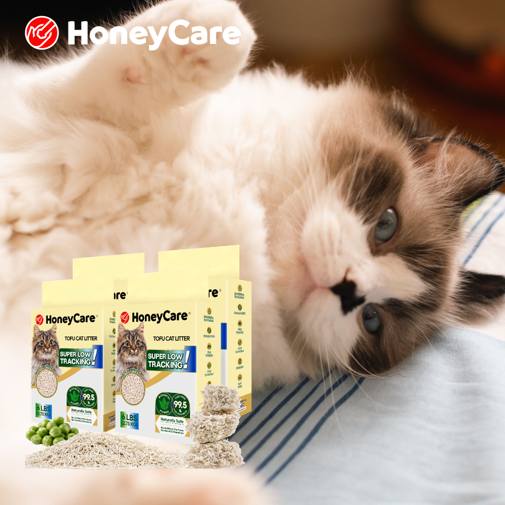 Global Cat Day: Litter Setup for Community and Feral Cats