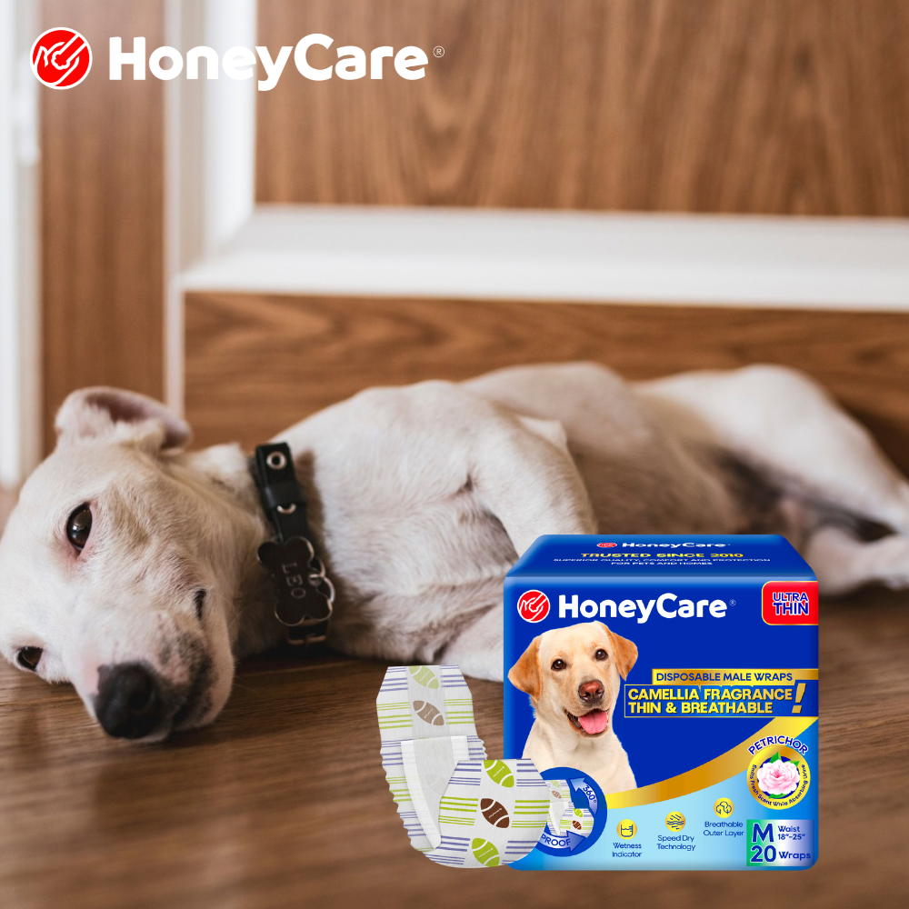 Enzyme Cleaners Explained: Why Regular Cleaners Fail on Dog Urine