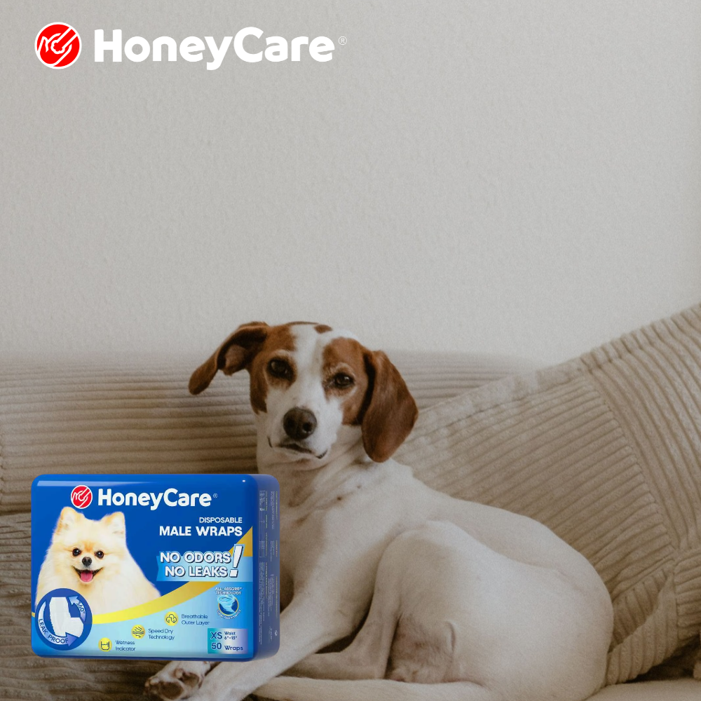 Hosting With a Newly Adopted Dog: Managing Guests and Marking