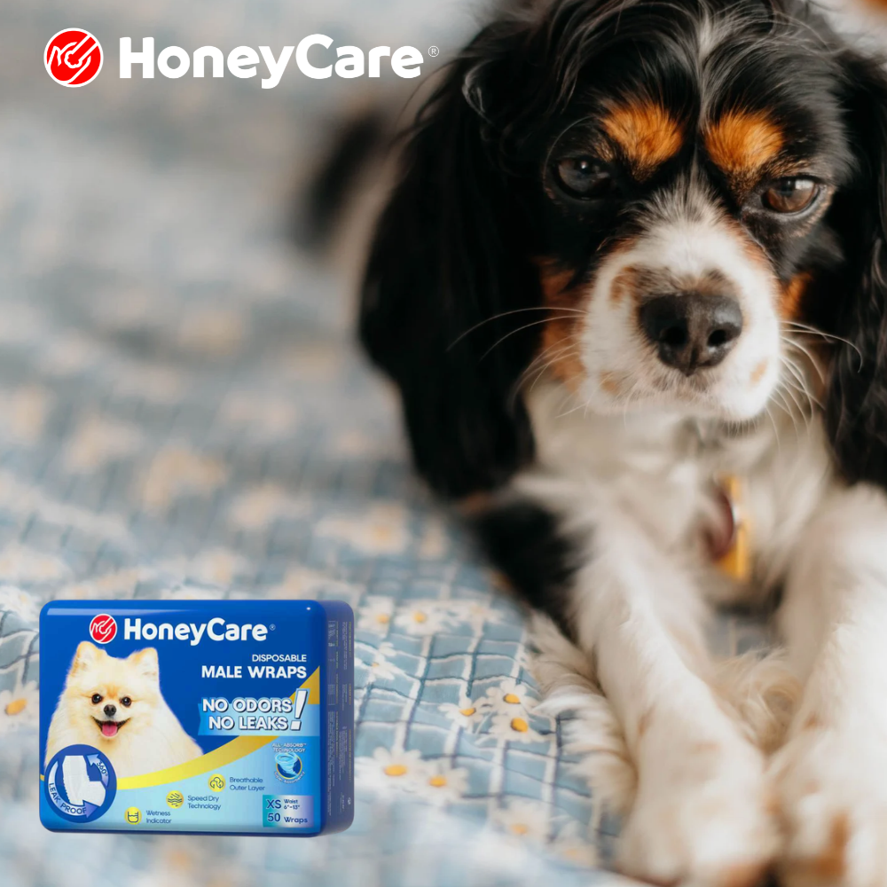 Pet Wellness Month Wrap-Up: The 12-Point Home Hygiene Audit