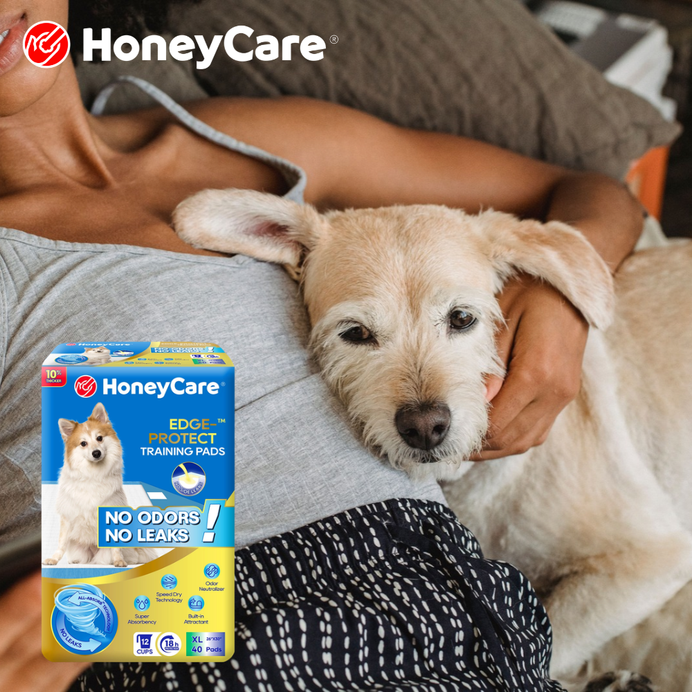Adopting a Senior Dog: The Hygiene Setup Nobody Warns You About