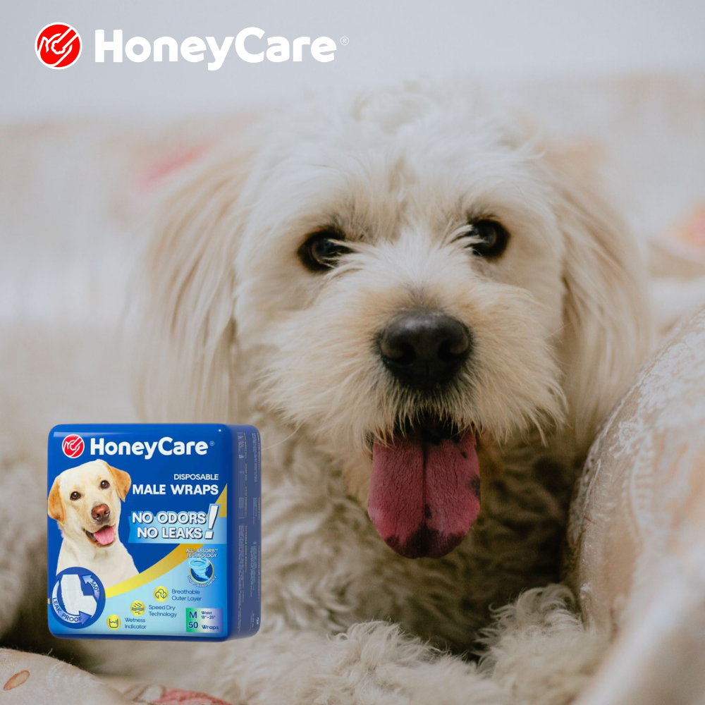 Honeycare Male Wraps vs Top 5 Brands: 2026 Side-by-Side
