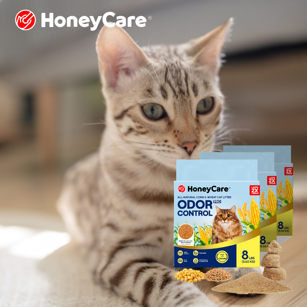 National Cat Day: A Litter Box Upgrade Checklist