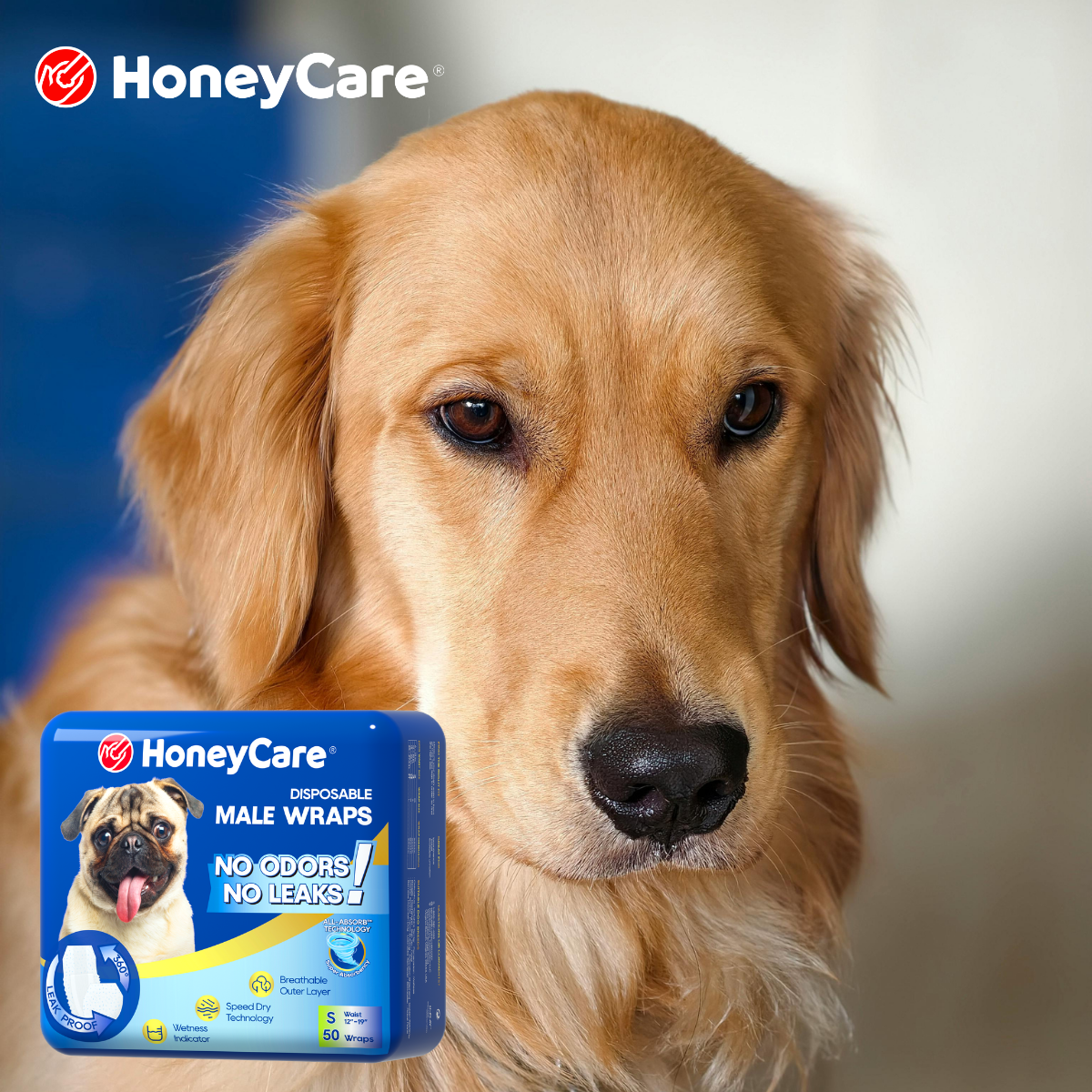 Dog UTI From Diapers: Proven Ways to Avoid Pain
