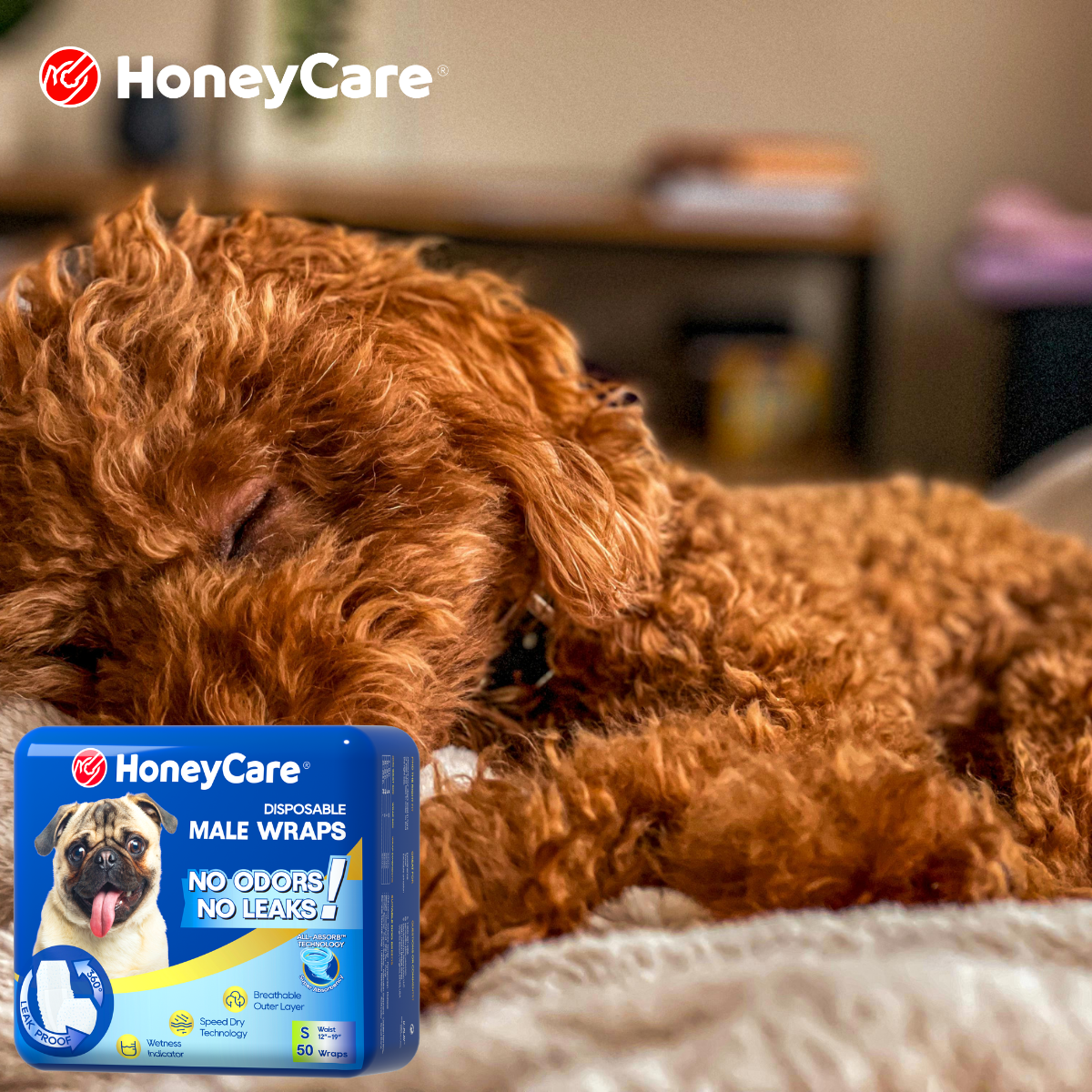 Are Reusable Dog Diapers Hygienic? 5 Shocking Truths for Pet Parents