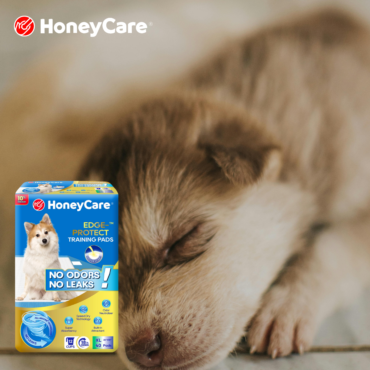 Pee Pads for Mobility-Limited Dogs: Ultimate Healing Guide