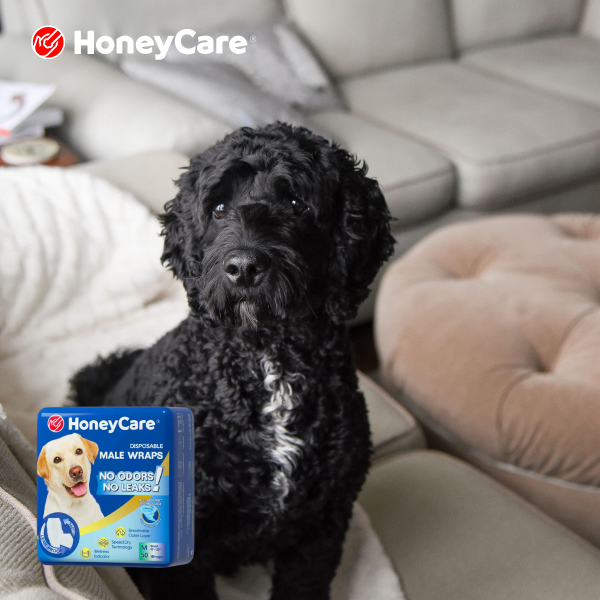 Wash Dog Bedding Urine