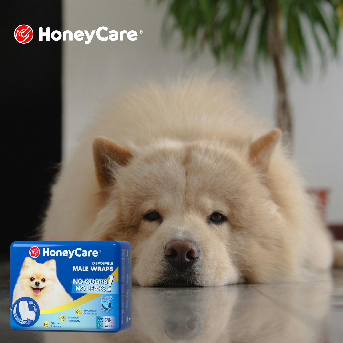Dog Diapers and Pee Pads Together: Stop Heartbreaking Leaks