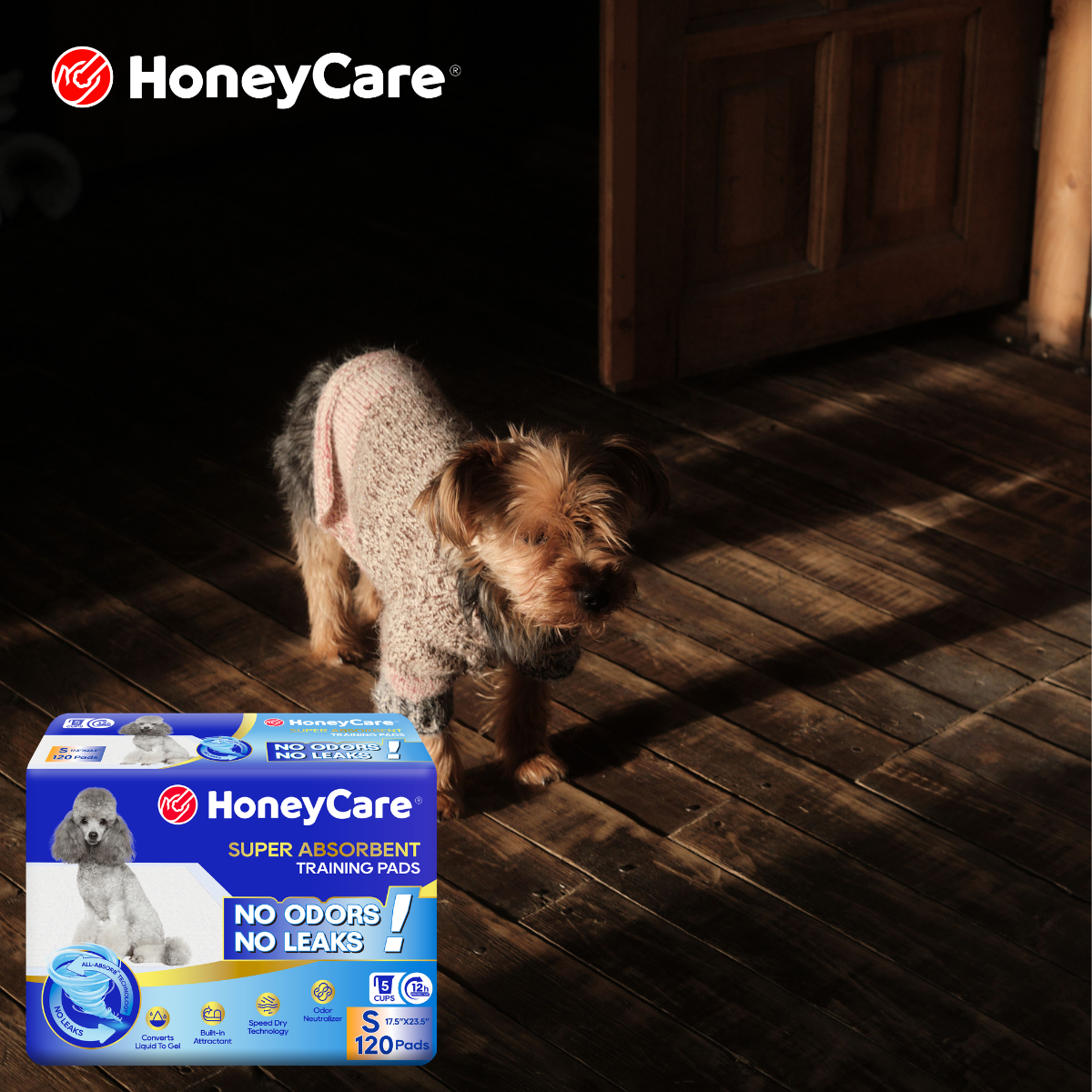 Protect Hardwood Floors From Dog Pee: 7 Powerful Fixes