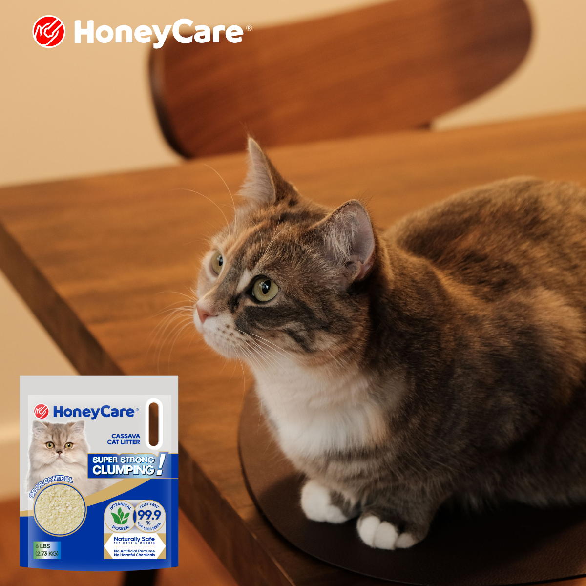 Why Cats Avoid the Litter Box After a Litter Change