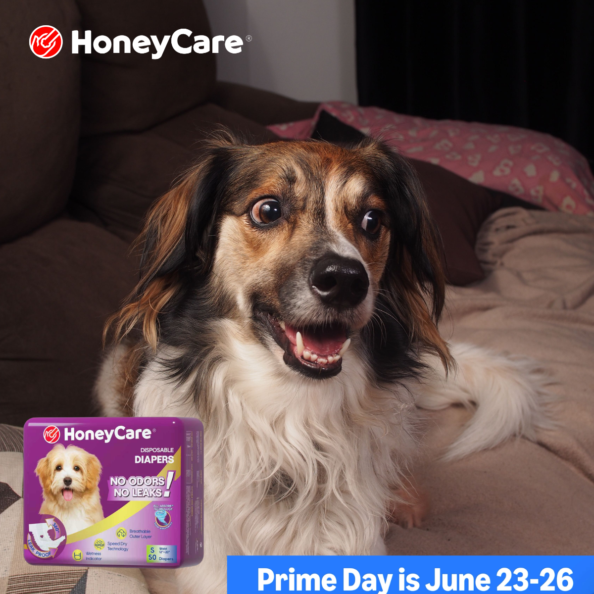 Best Pee Pads for Large Dogs: Easy No-Mess Guide