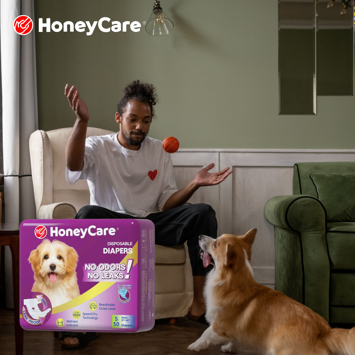 Can Dogs Wear Diapers While Home Alone?