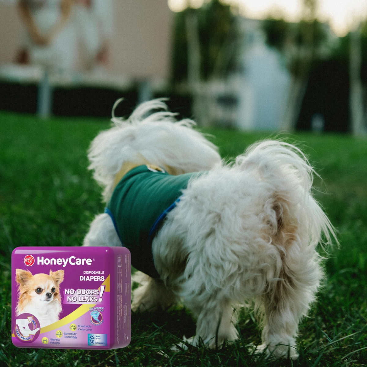 Can Dogs Mate Through Diapers? The Brutal, Honest Truth