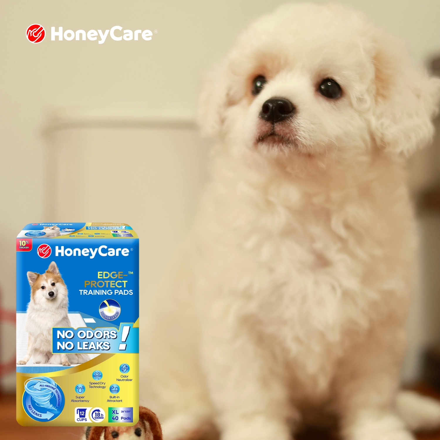 Dog Stopped Using Pee Pad? 7 Expert Fixes for Messes