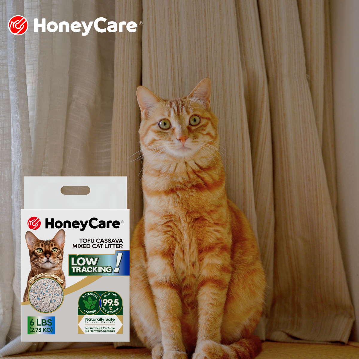 Cassava Cat Litter vs Tofu Cat Litter: What Is the Difference?
