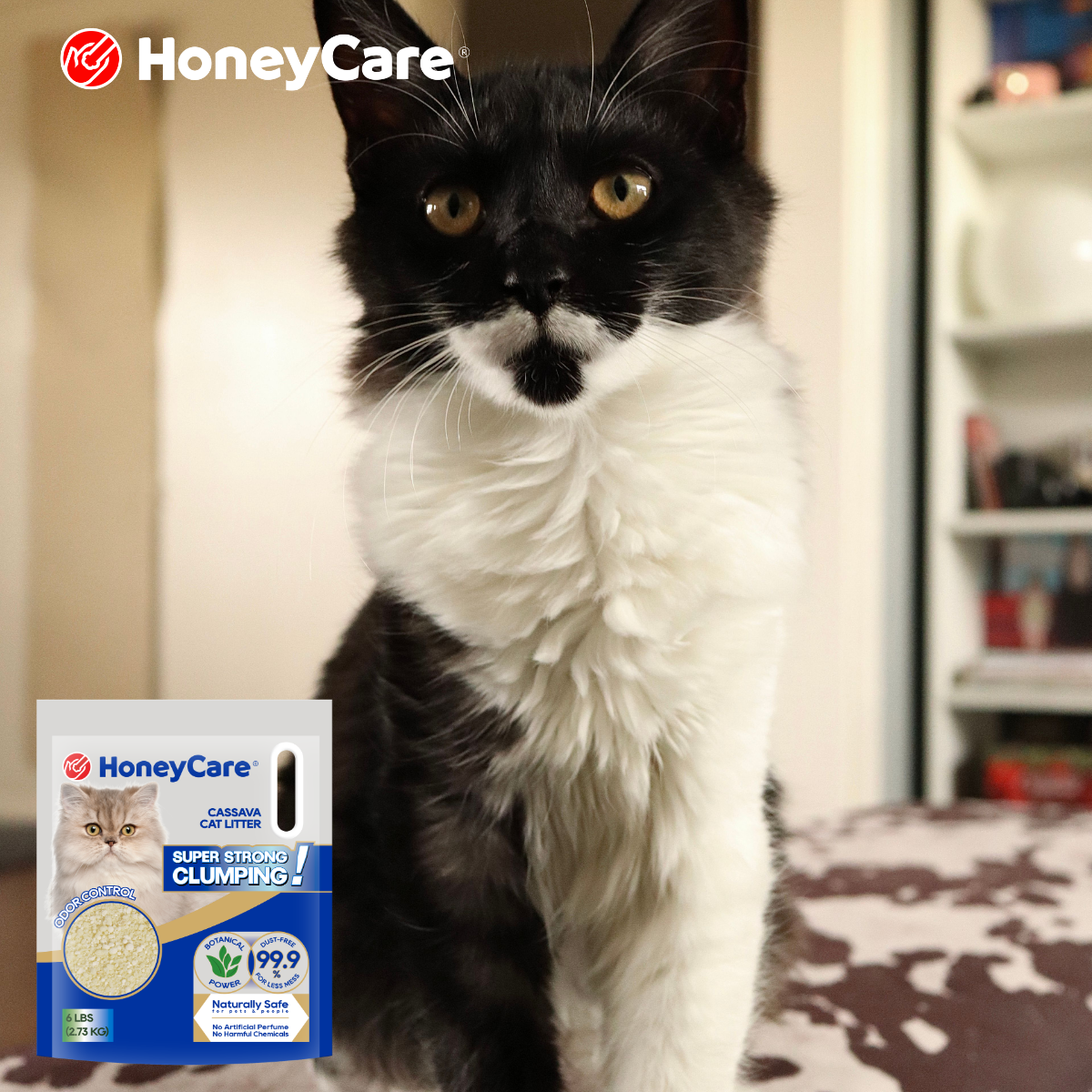 Tofu Cat Litter and Automatic Litter Boxes: What to Check